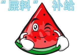 吃瓜现场是什么意思,网络热议背后的真相与反思